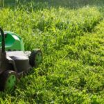Découvrez nos services complets d'entretien de jardin à Cannes, incluant la tonte, la scarification de pelouse, le débroussaillage, l'entretien du potager, le nettoyage des allées et terrasses, ainsi que la création et la plantation d'espaces verts sur mesure. Confiez votre jardin à l'expertise d'Arnaud V. pour un résultat impeccable