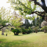 Amenagement paysager mougins