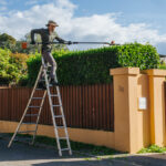 Amenagement paysager mougins