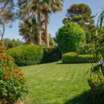 Amenagement paysager mougins