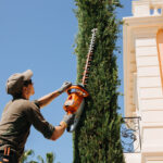 Amenagement paysager mougins