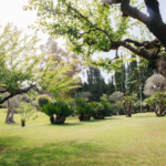 Amenagement paysager cannes jardinier 06